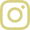 Instagram Icon footer